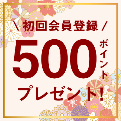500ポイントプレゼント