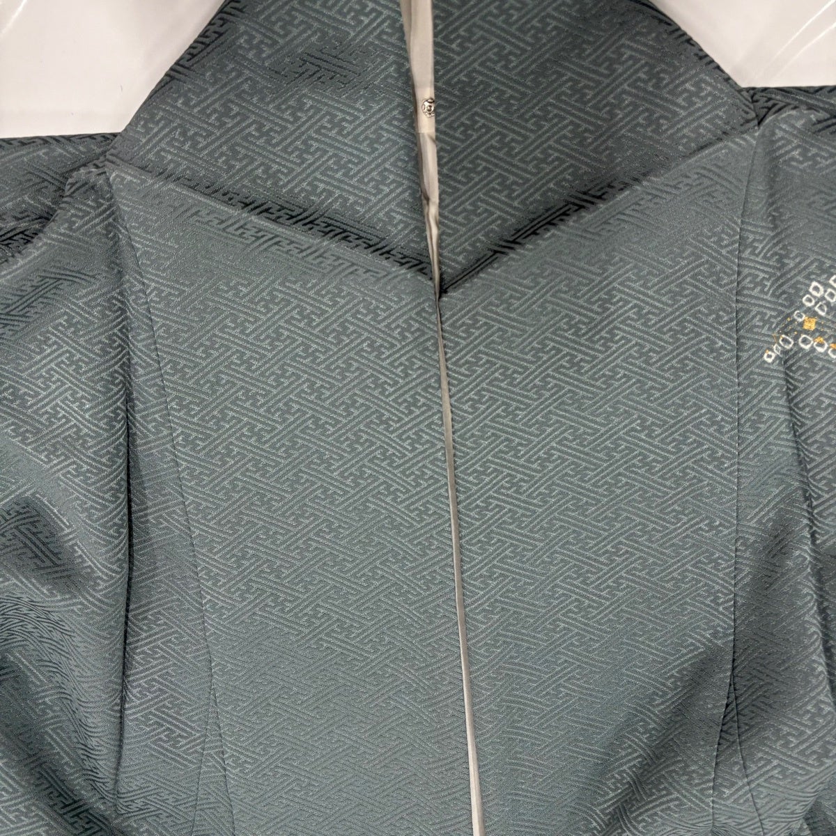 付下げ 身丈158cm 裄丈67cm 正絹 逸品 【中古】 訪問着 身丈158cm 裄67cm レディース 袷 鳥柄 裄長 裄Lサイズ 秋冬春用